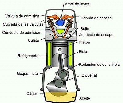 Cesar